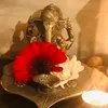anjanayakso