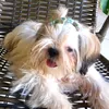 beatrizrmw