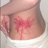 lizz.55ag