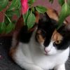 leona.rl24