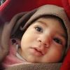 moham740