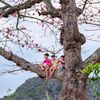 mr.giang16959