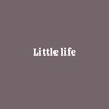 littlelife112