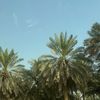 fida.20a