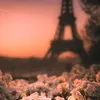 lilibeth_0119