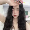 chamvu204