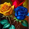 shamin7866