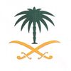 sabrisaeid