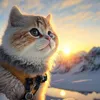 moms_duaputra