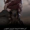 abdullah_mahmoud_7