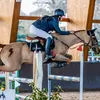 oli.sporthorses