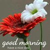 jahiruddin.sagar