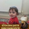 maximus_502