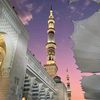 ayaomar242