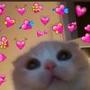 _meowcle_
