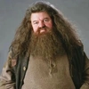 rubeus_hagrid__