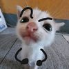 alamaoyy_