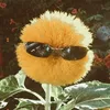 0_petrushka_0