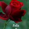 user8990523704583