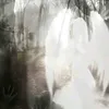 zxcrils