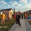 frunzaalexandru1