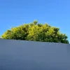 _sfrgm_