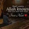 user50714109