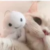 ewaadams6