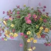 user1719768559474