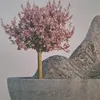 dina92921