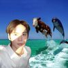 what2_do