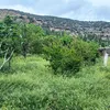 ramziramzi126