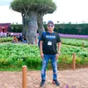 taikingspeed