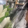 itsnotiqra