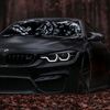 bmwe39vadila
