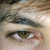 ugn.rasim