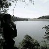 _niayuliani