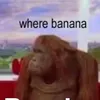 yllibllihyekim