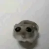 dodjral