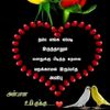 rupan198
