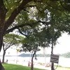 whtte_06