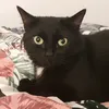 jj_jj_jj_1309