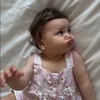 dollymassoudi
