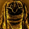 trifonovdarin