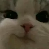 itxanette