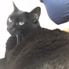 pamelamathilde