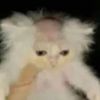 gman_chew