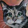 pop_cat14_
