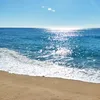 user8505300012447