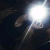 jenny_vele